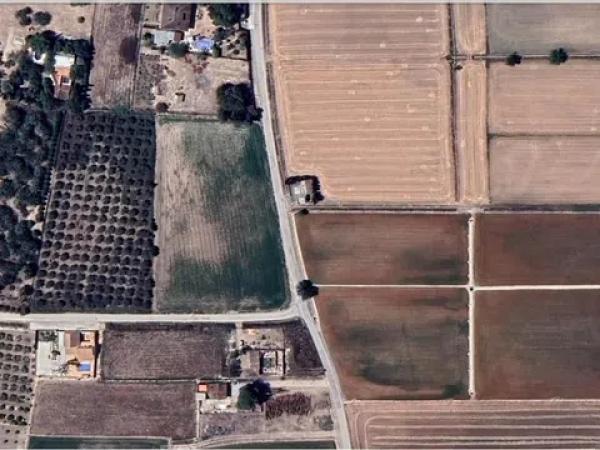 Terreno en Catral photo 2