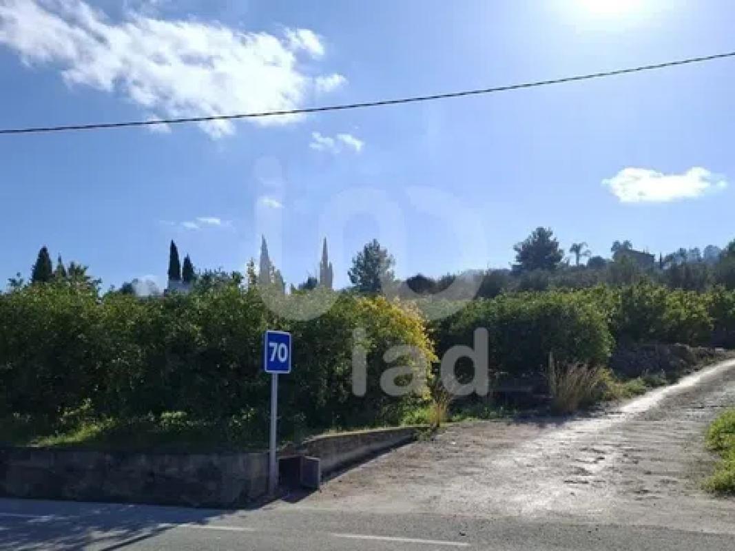 Land for sale in Benidoleig, Alicante photo 2