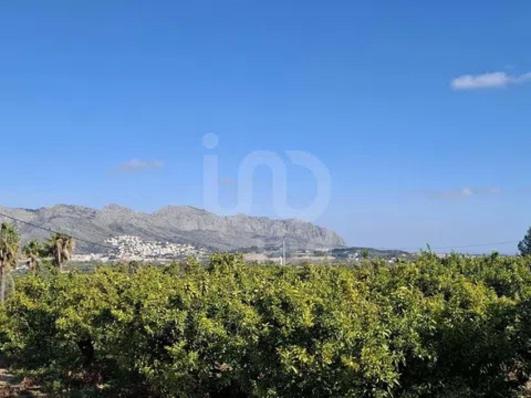 Land for sale in Benidoleig, Alicante photo 3