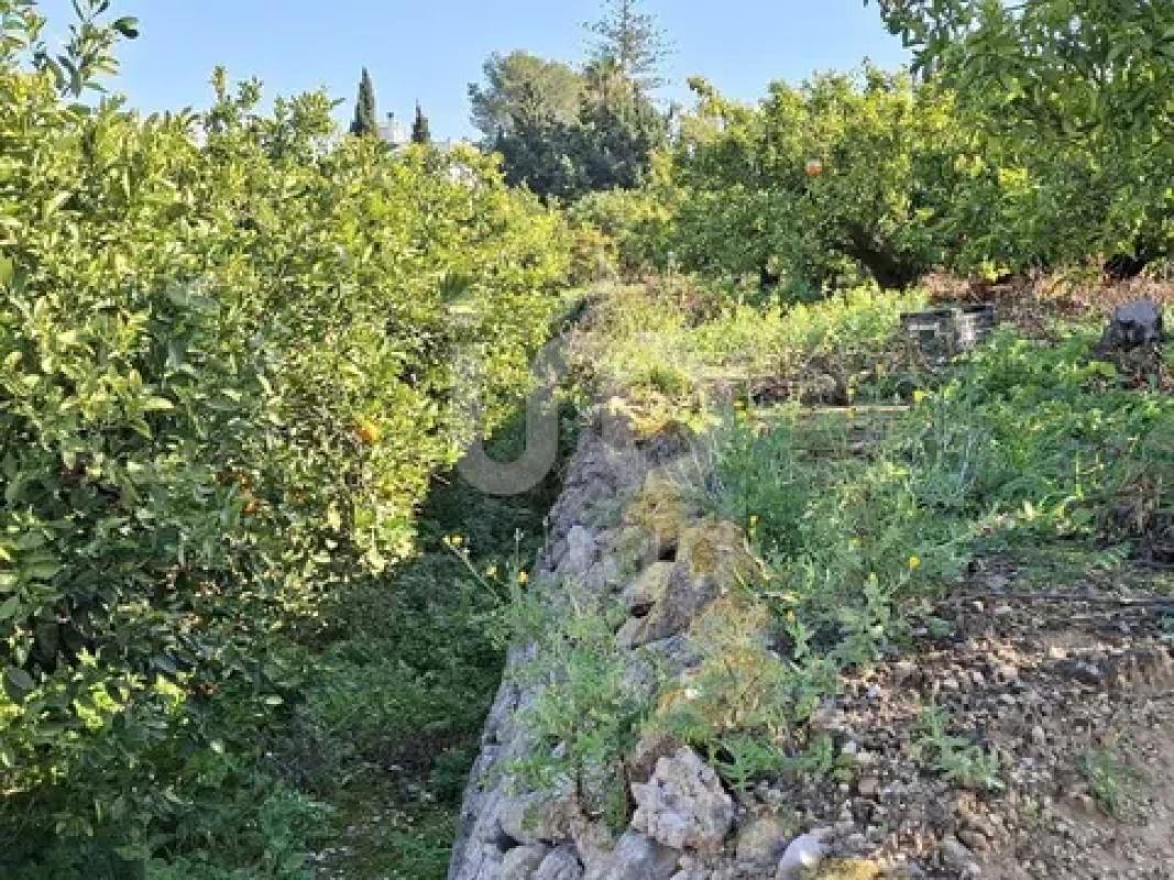 Land for sale in Benidoleig, Alicante photo 4