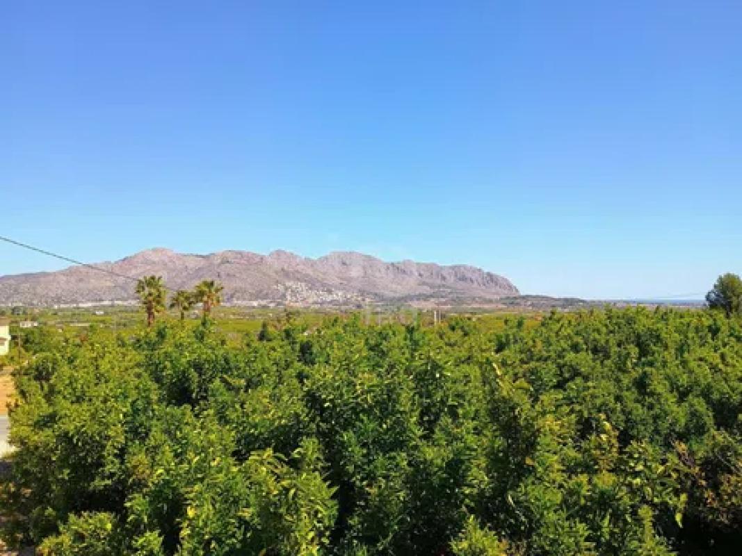 Land for sale in Benidoleig, Alicante photo 5