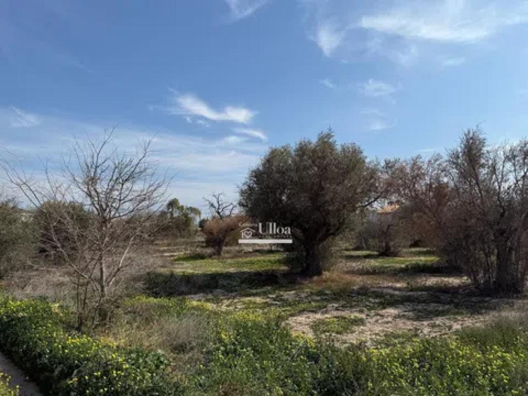 Terreno en venta en Alicante / Alacant, Alicante photo 2