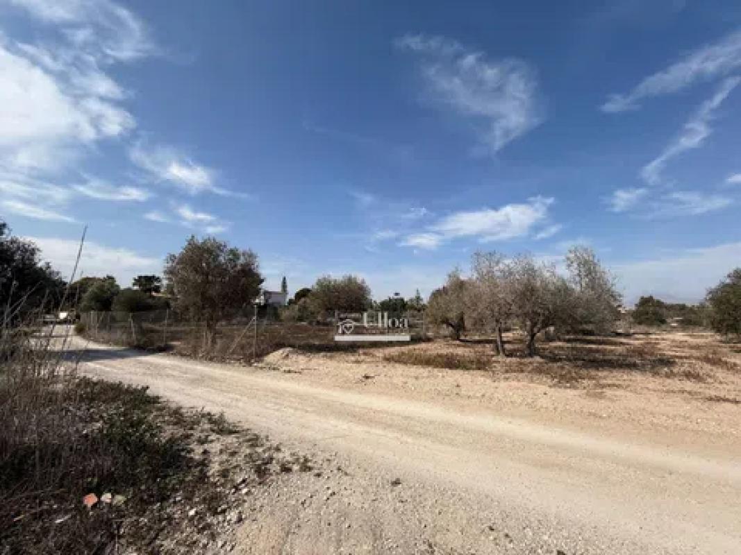 Terreno en venta en Alicante / Alacant, Alicante photo 3