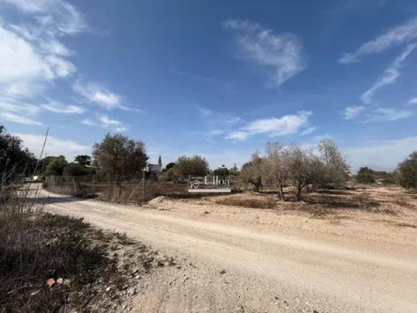 Terreno en via Pista photo 3