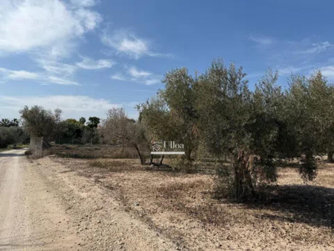 Terreno en venta en Alicante / Alacant, Alicante photo 4