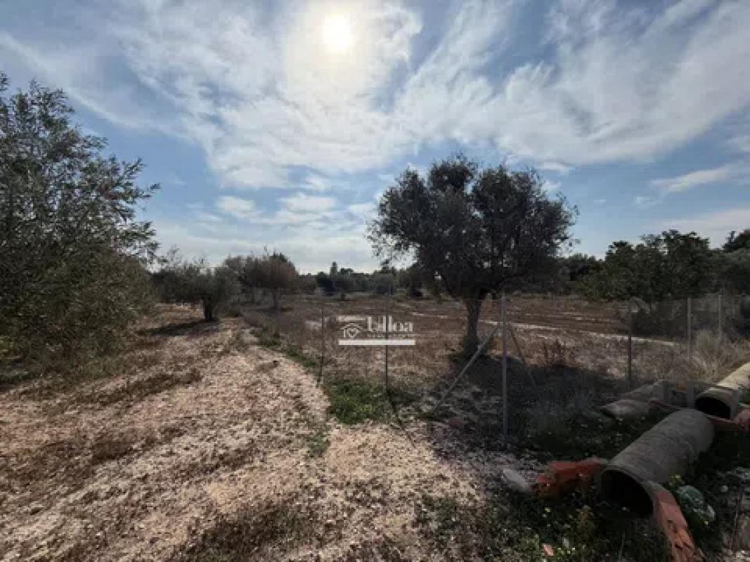 Terreno en venta en Alicante / Alacant, Alicante photo 5