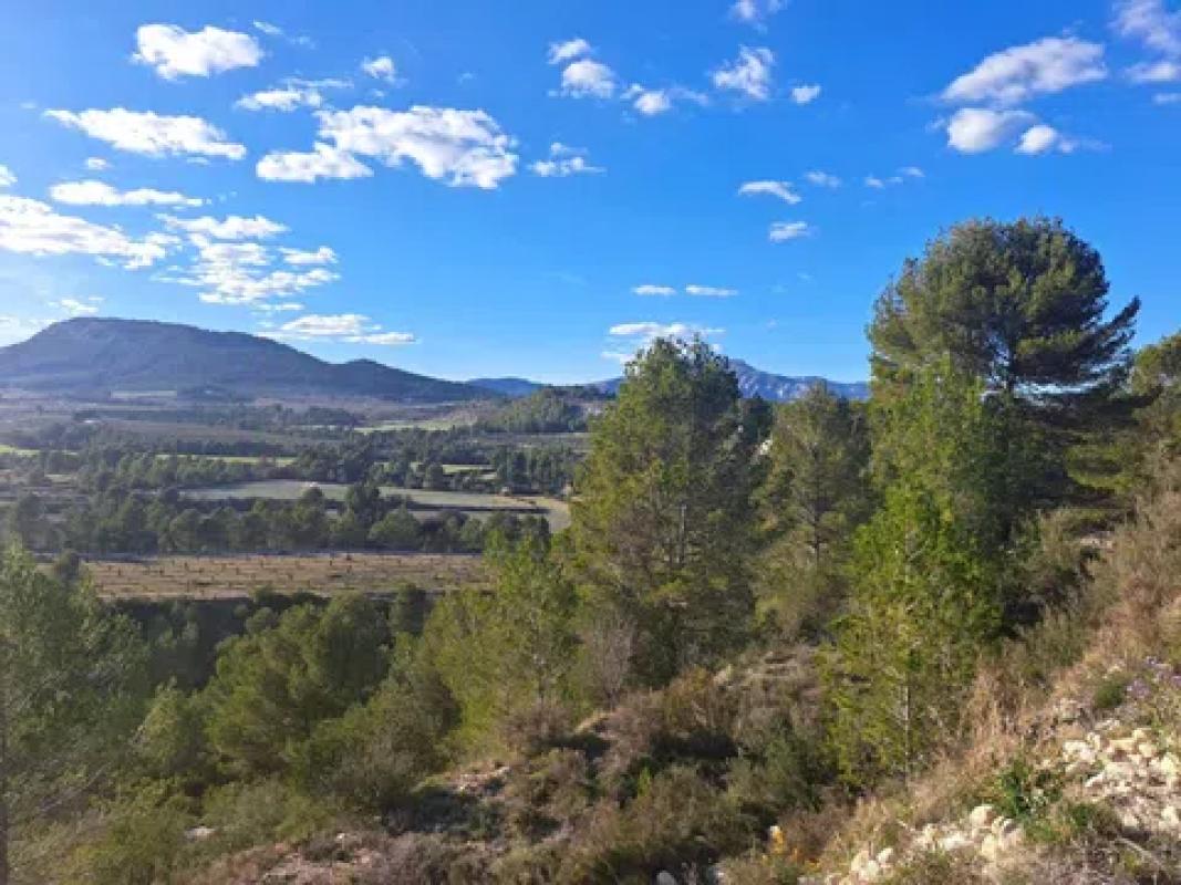 Terreno en venta en Penaguila, Alicante photo 4