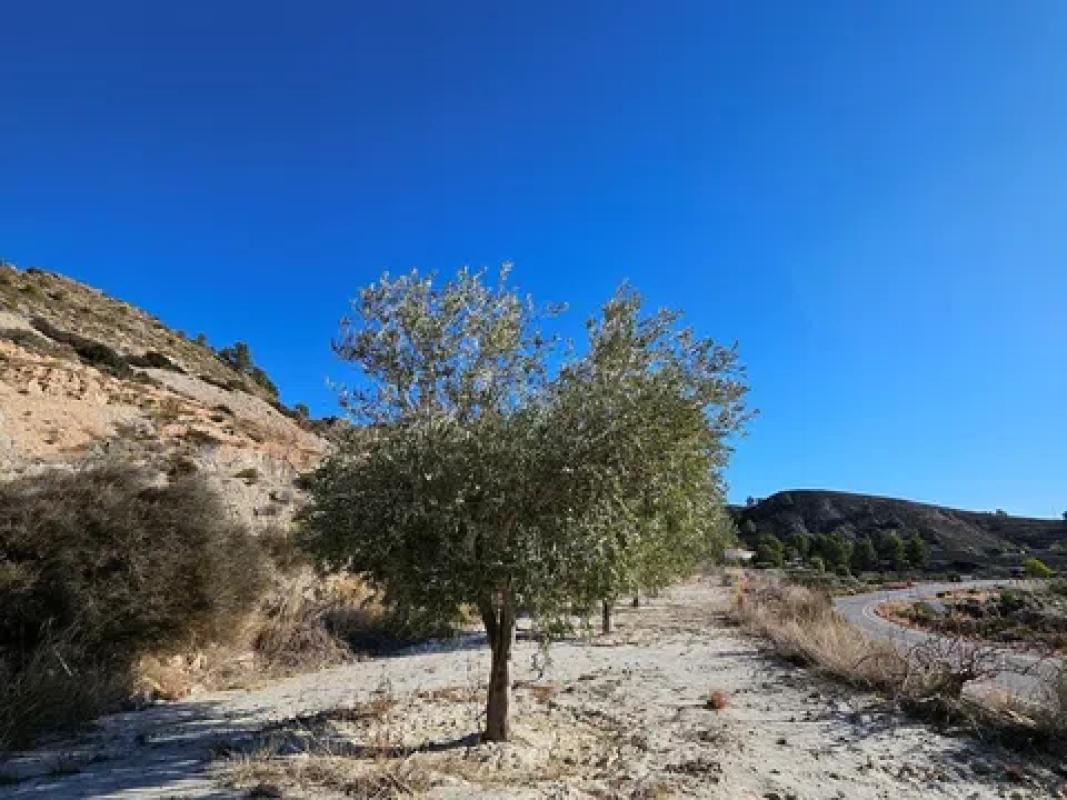 Terreno en venta en Relleu, Alicante photo 3