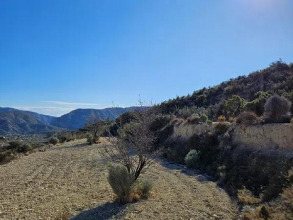 Terreno en Relleu photo 1