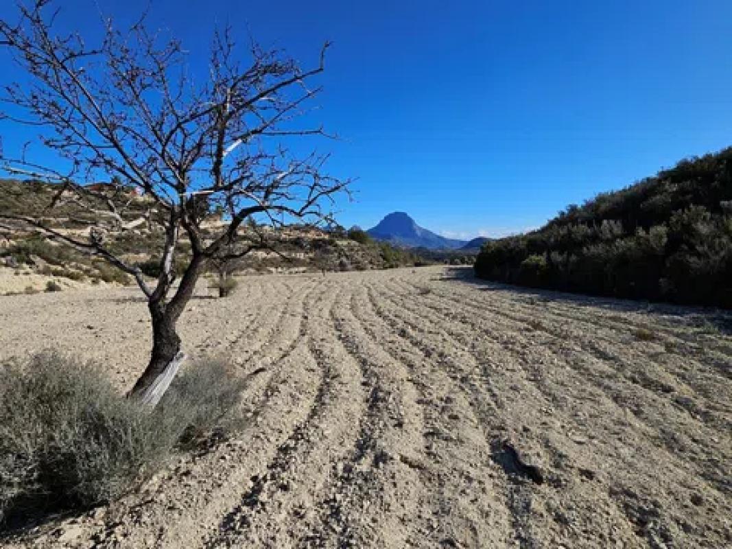Terreno en venta en Relleu, Alicante photo 2