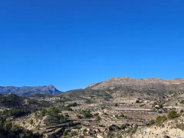 Terreno en Relleu photo 3