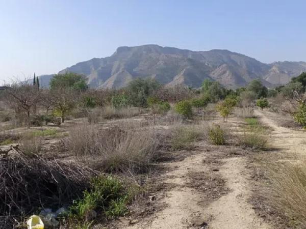 Terreno en montepinar, 3 photo 1