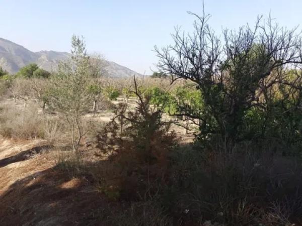 Terreno en montepinar, 3 photo 2
