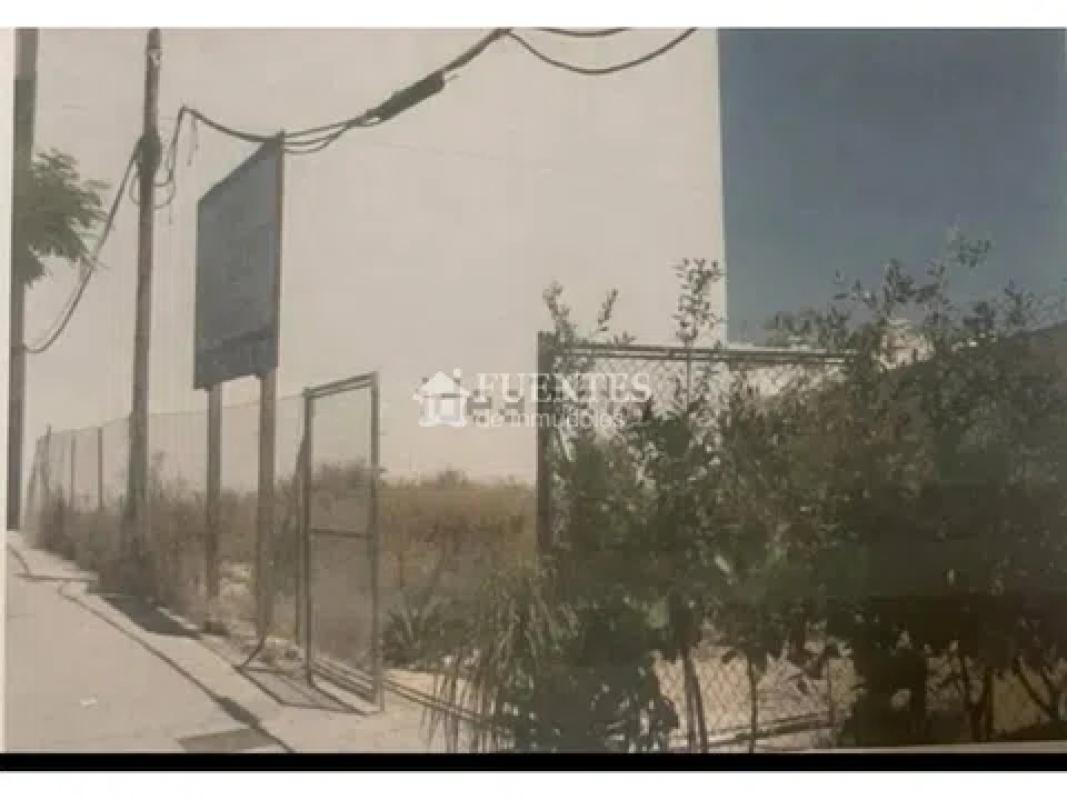 Działka na sprzedaż w Mutxamel, Alicante photo 3