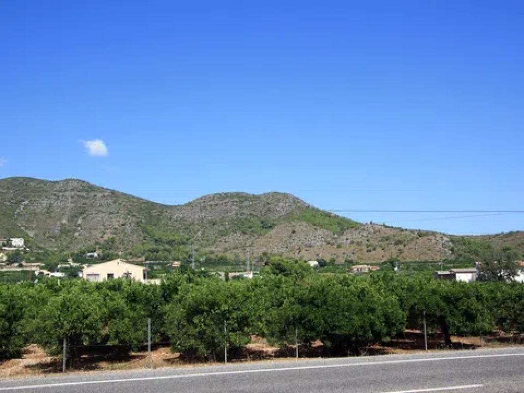 Land for sale in Pego, Alicante photo 3
