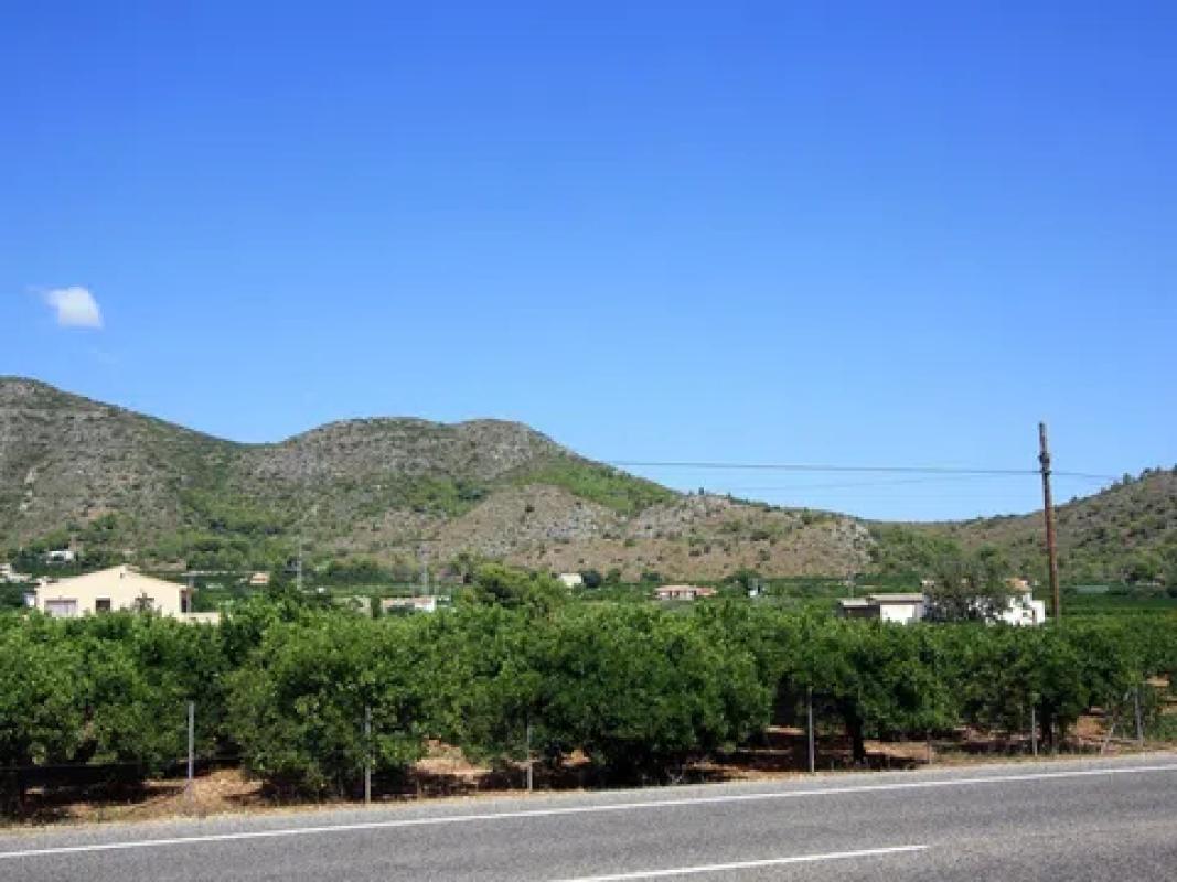 Land for sale in Pego, Alicante photo 4