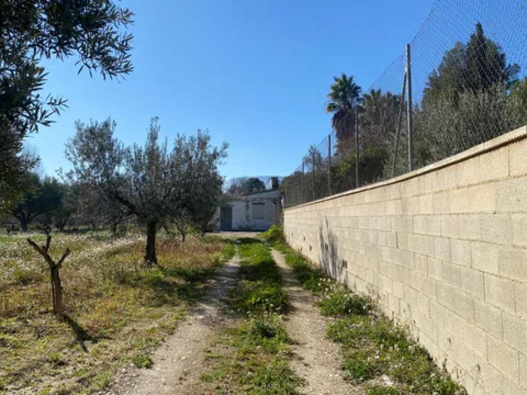Land for sale in Cocentaina, Alicante photo 1