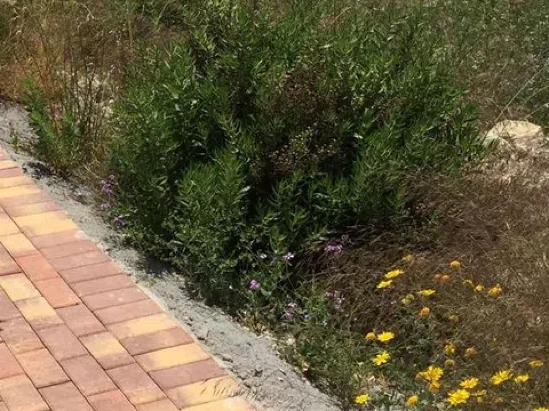 Terreno en venta en Finestrat, Alicante photo 5