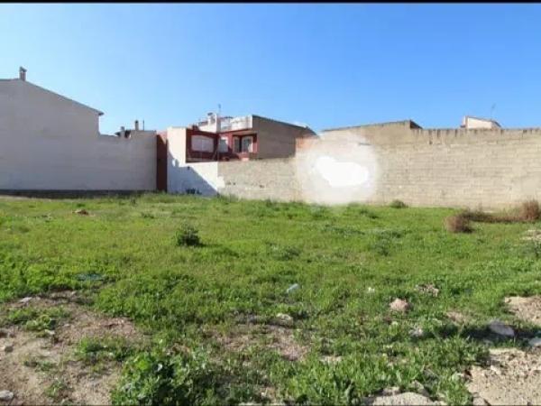 Terreno en Monforte del Cid photo