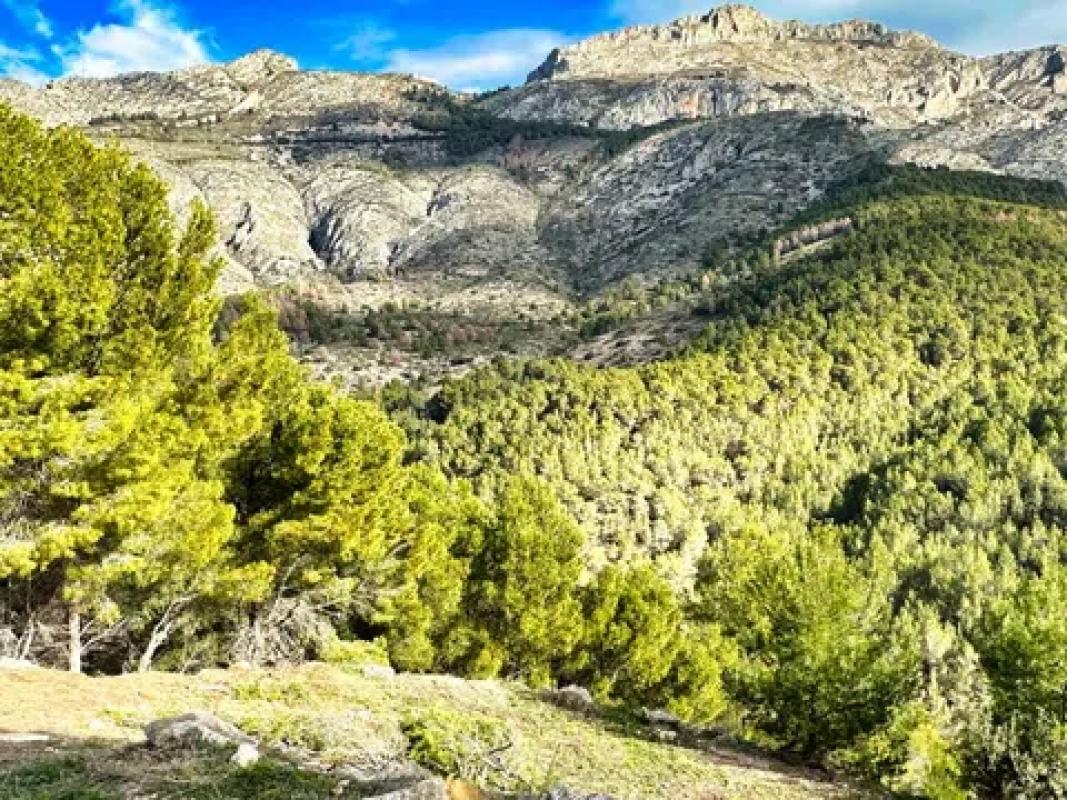 Działka na sprzedaż w Altea, Alicante photo 2