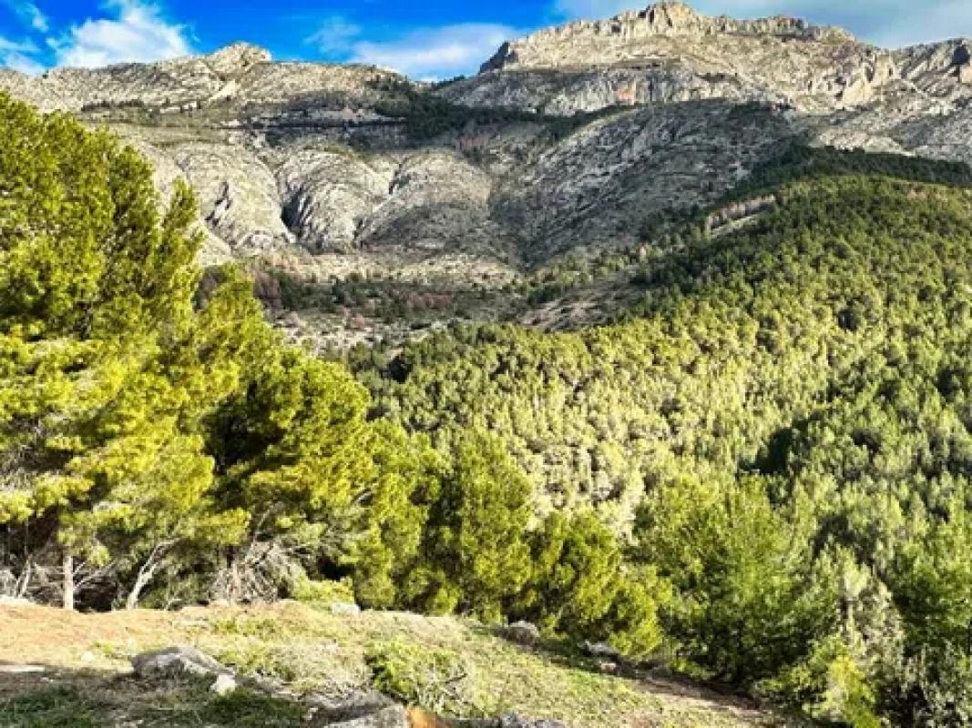 Działka na sprzedaż w Altea, Alicante photo 2
