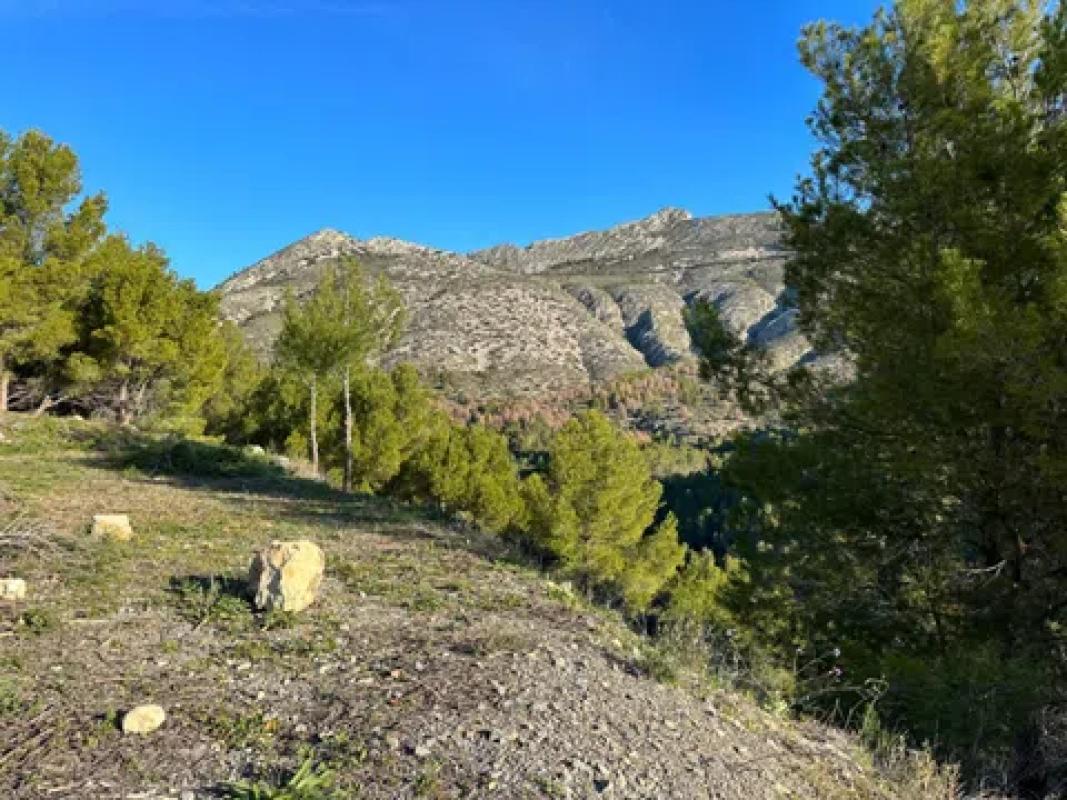 Działka na sprzedaż w Altea, Alicante photo 4