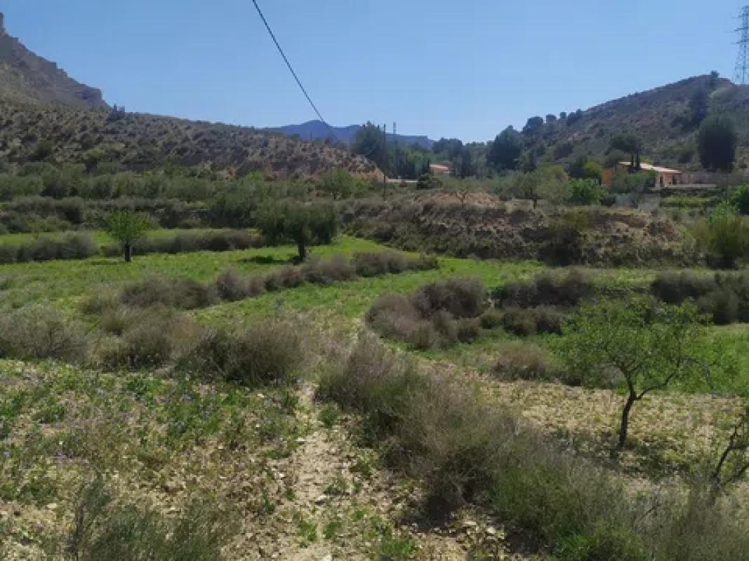 Terreno en venta en Jijona / Xixona, Alicante photo 3