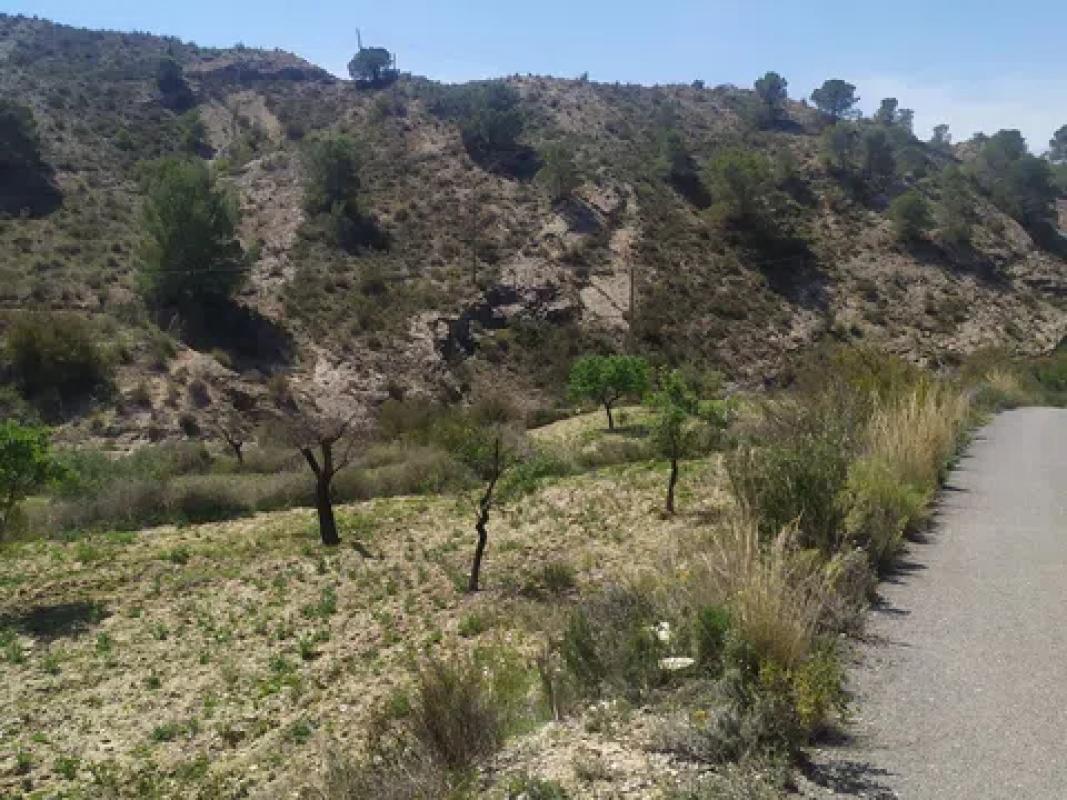 Terreno en venta en Jijona / Xixona, Alicante photo 4