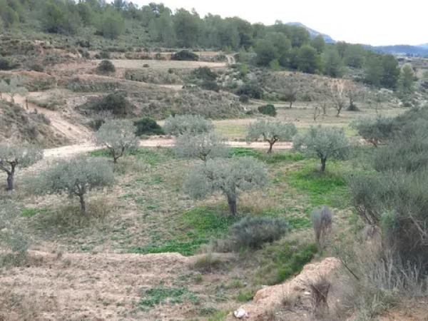Terreno en Tibi photo 1