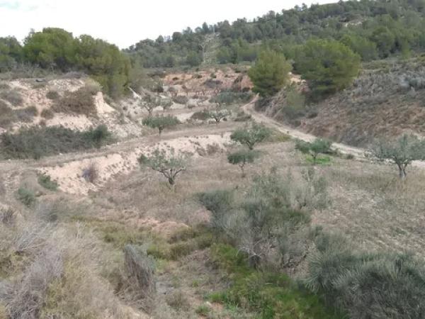 Terreno en Tibi photo 4