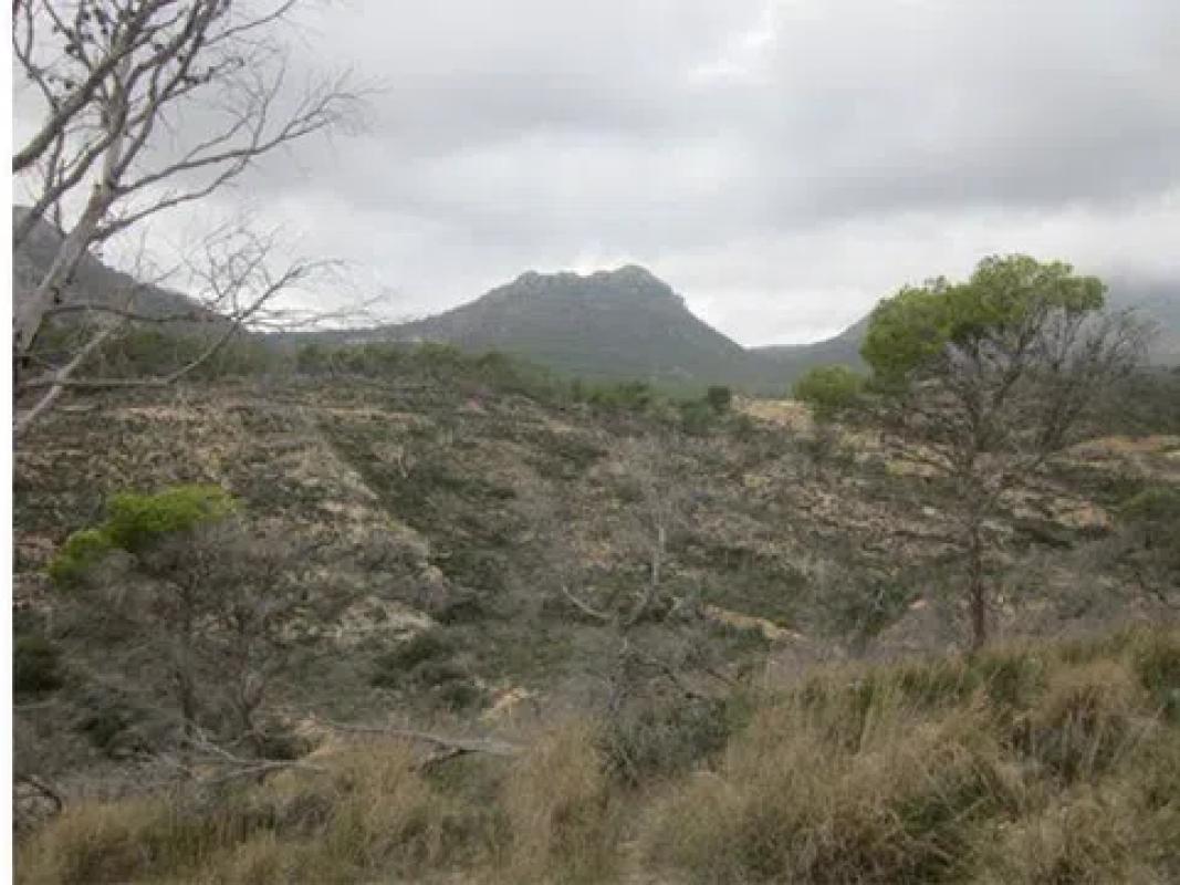 Land for sale in La Nucia, Alicante photo 2