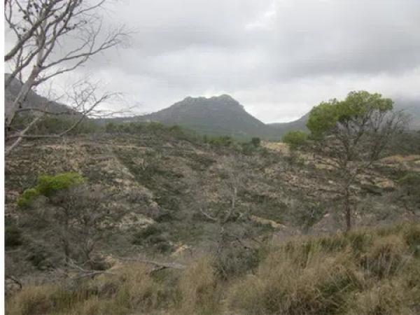 Terreno en calle Xaloc photo 2