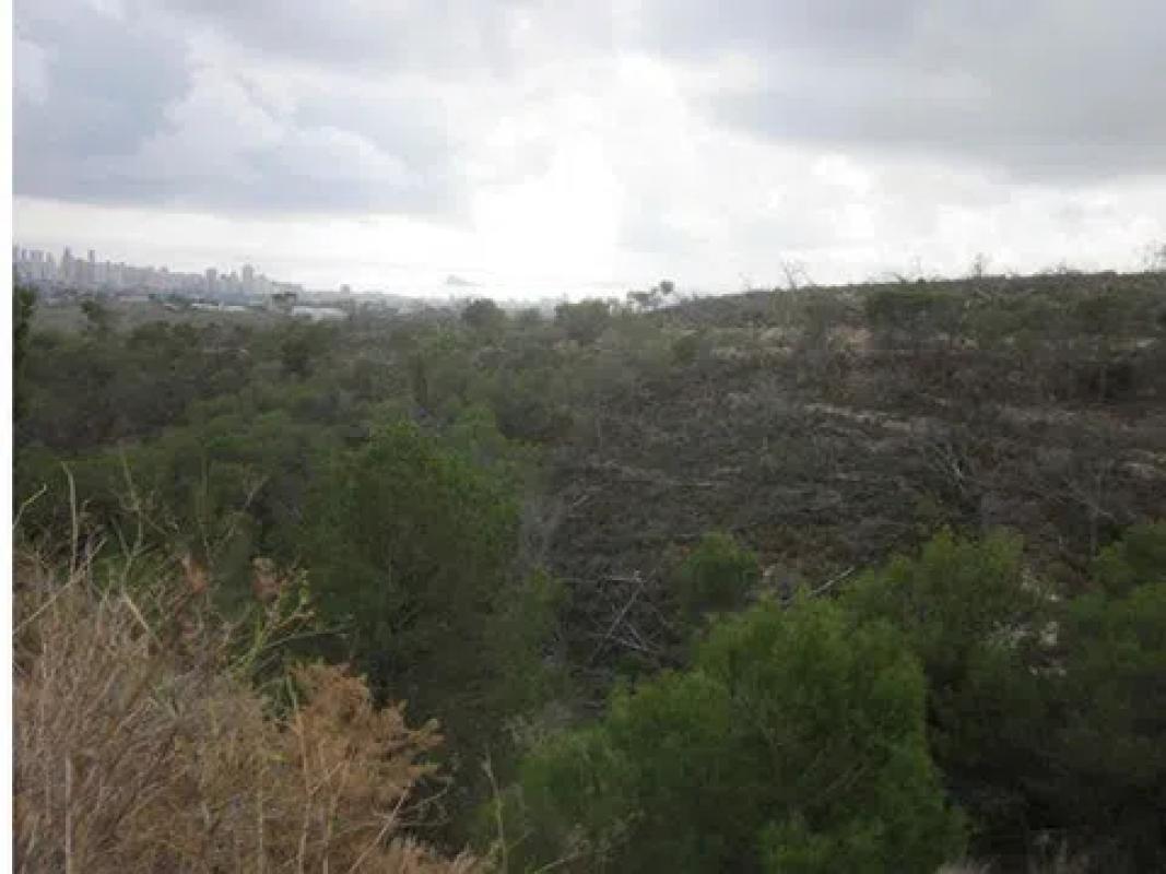 Land for sale in La Nucia, Alicante photo 3