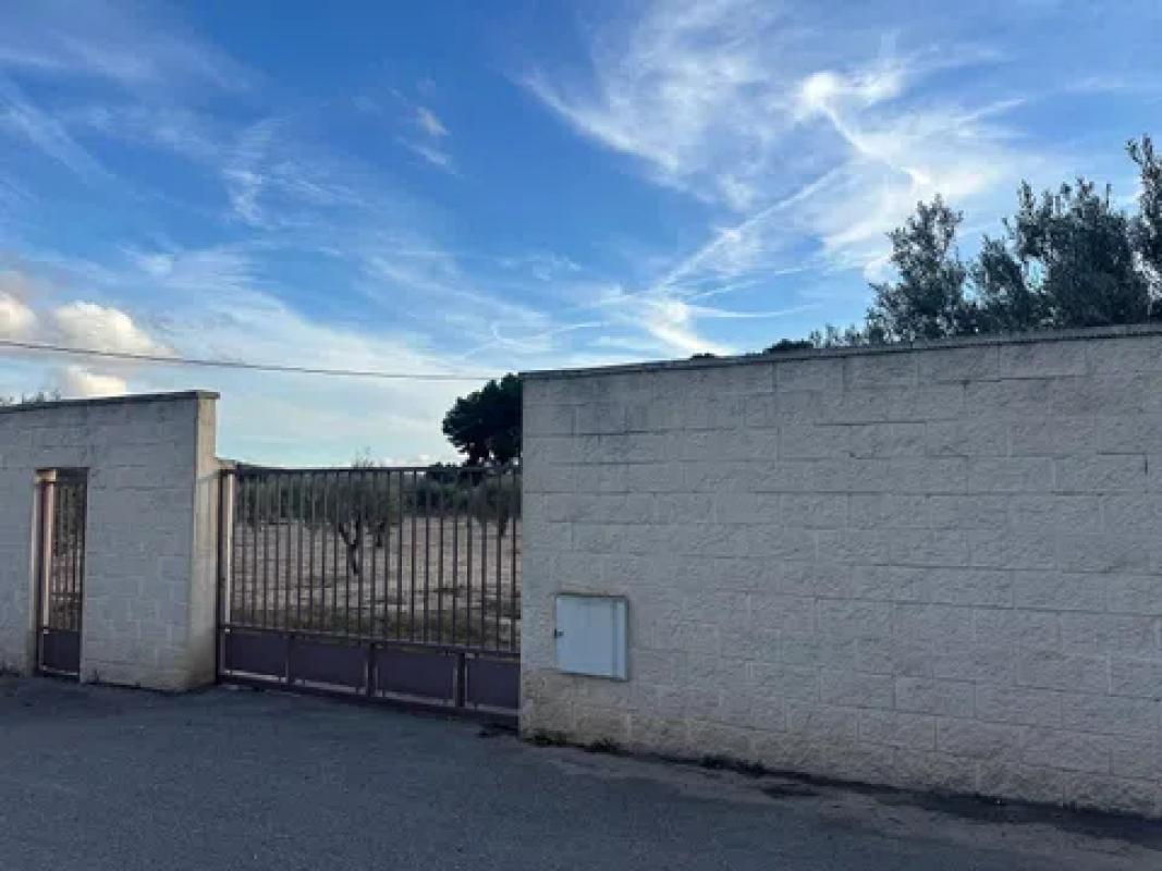 Terreno en venta en Elda, Alicante photo 3