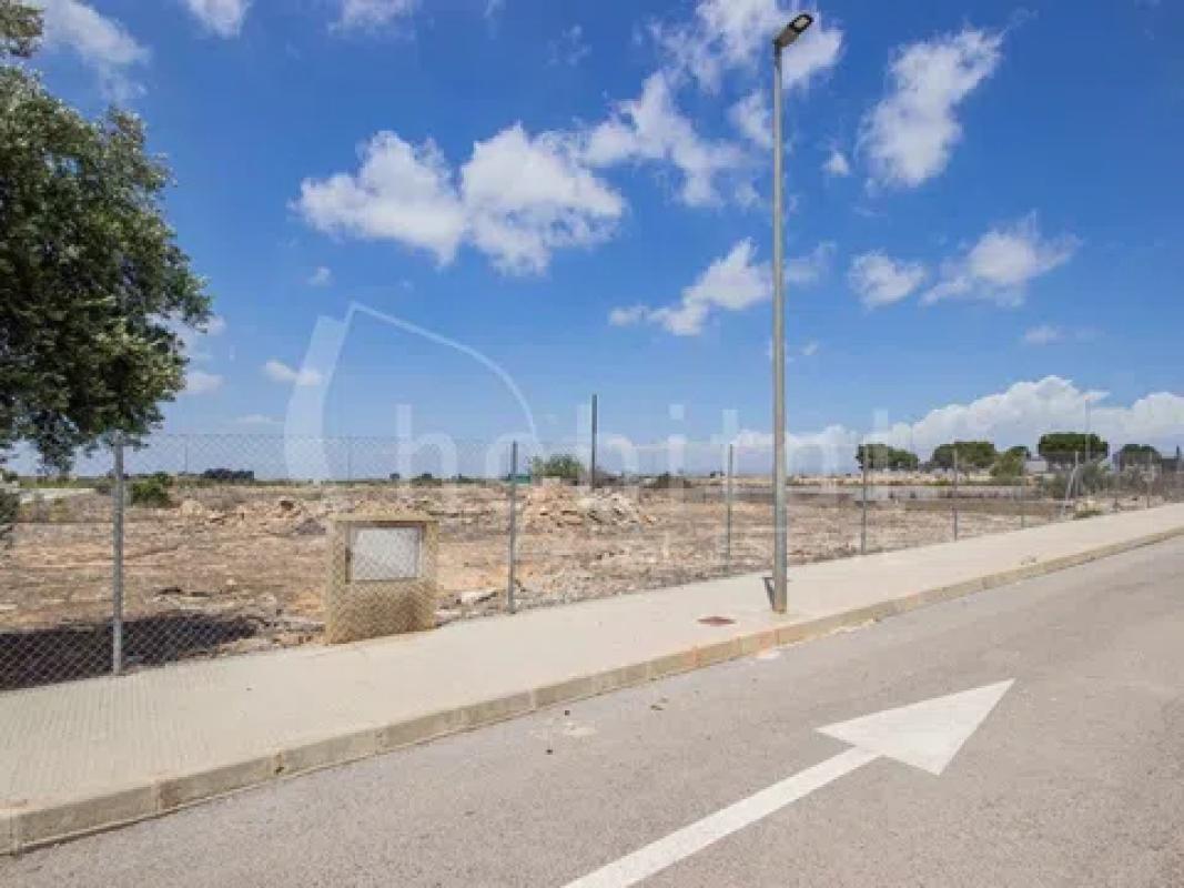 Land for sale in Los Montesinos, Alicante photo 5