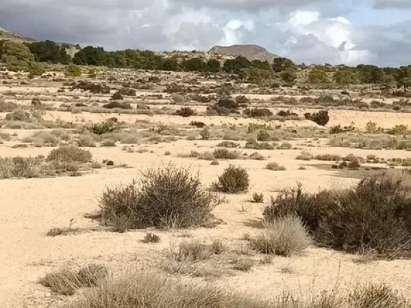 Terreno en Mutxamel photo 1