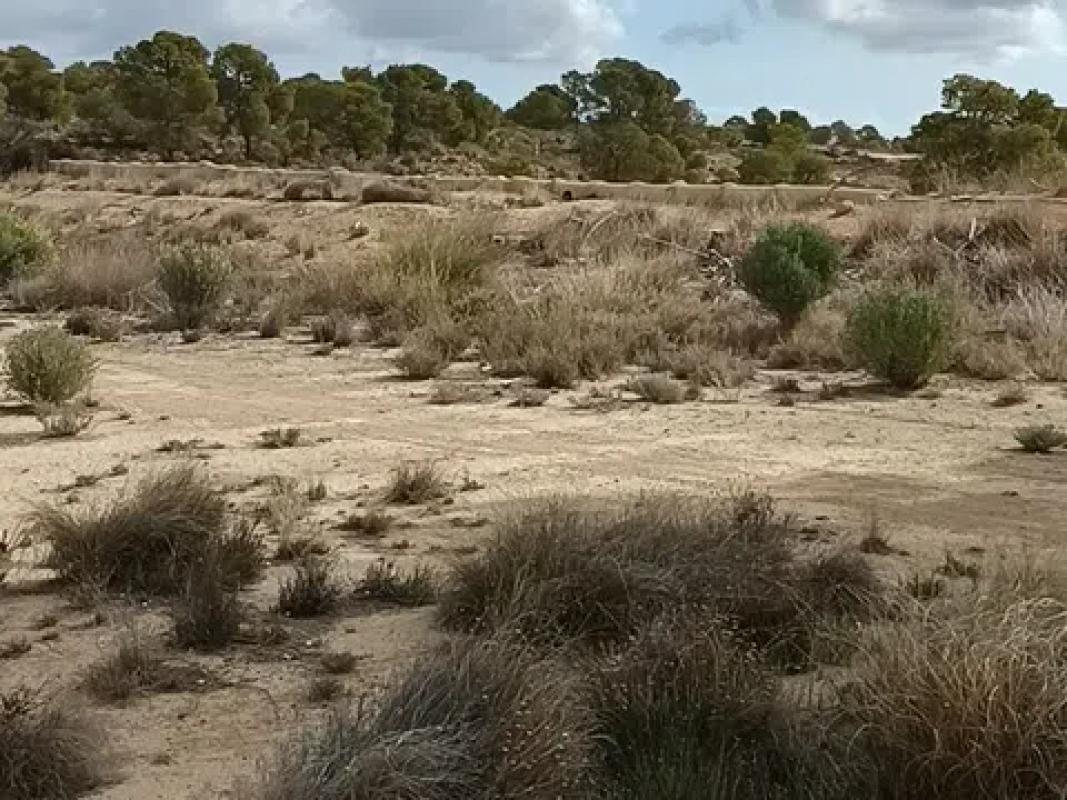 Land for sale in Alicante, Alicante photo 2