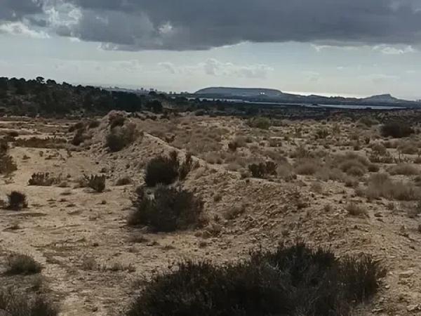 Terreno en Mutxamel photo 3