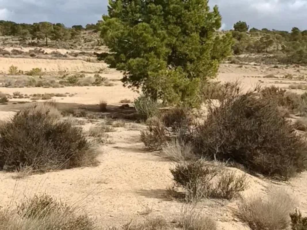 Land for sale in Alicante, Alicante photo 4