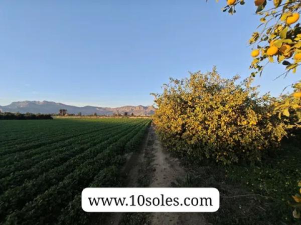 Terreno en Desamparados-Hurchillo-Torremendo photo 1