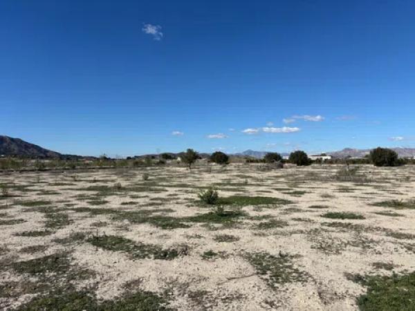Terreno en puente alto Orihuela s/n thumbnail 2