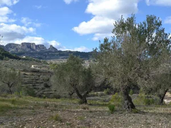 Terreno en Benimantell photo 1