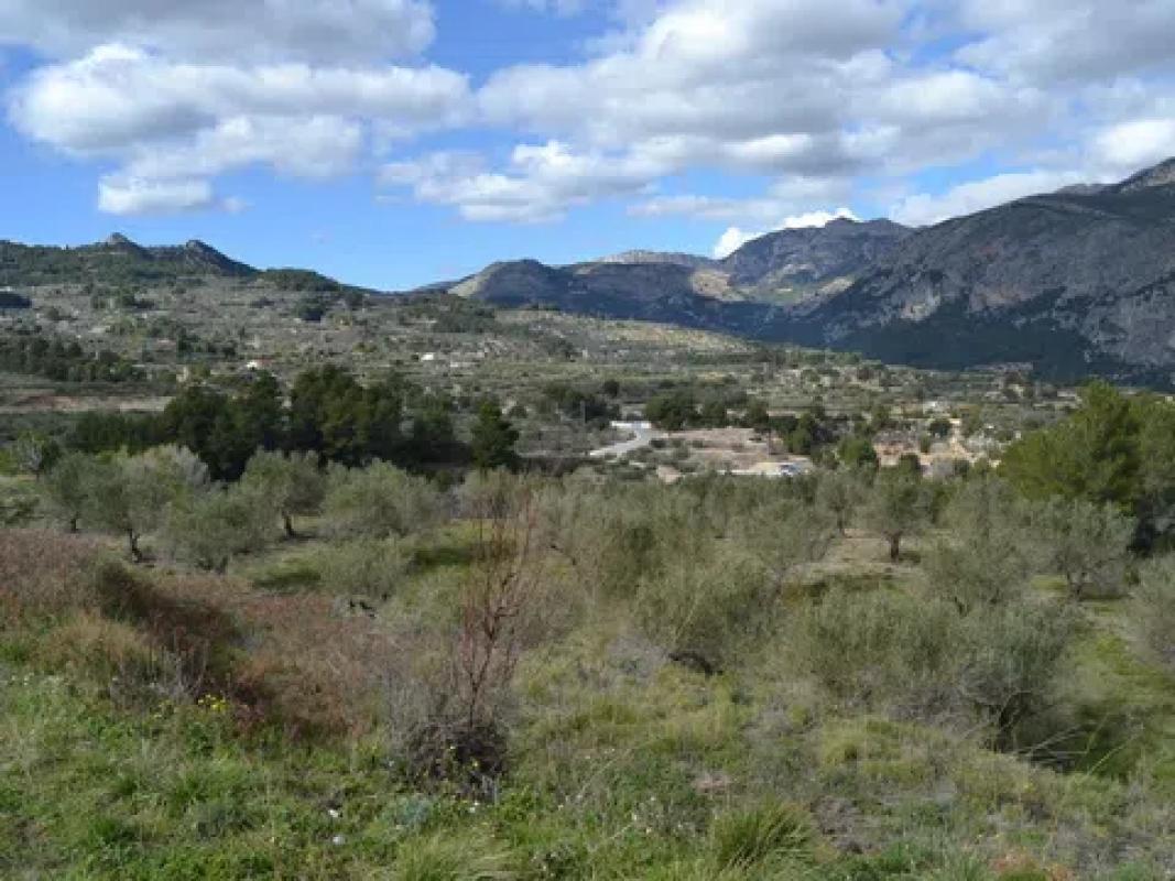Land for sale in Benimantell, Alicante photo 3