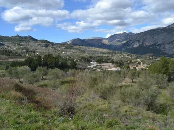 Terreno en Benimantell photo 3