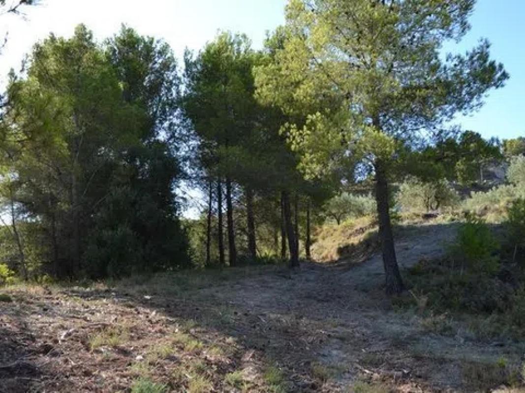 Land for sale in Benimantell, Alicante photo 4
