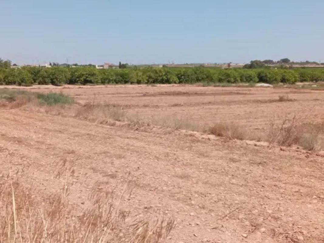 Działka na sprzedaż w Torrevieja, Alicante photo 5