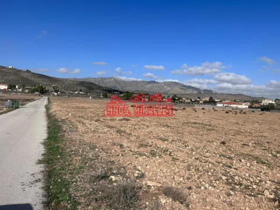 Land for sale in Hondón de los Frailes, Alicante photo 1