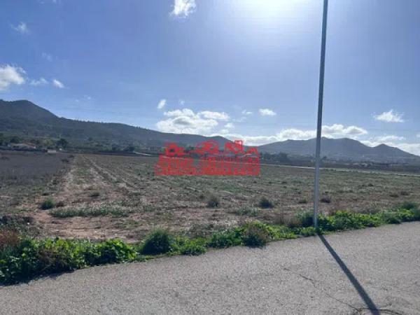 Terreno en Hondón de los Frailes photo 2