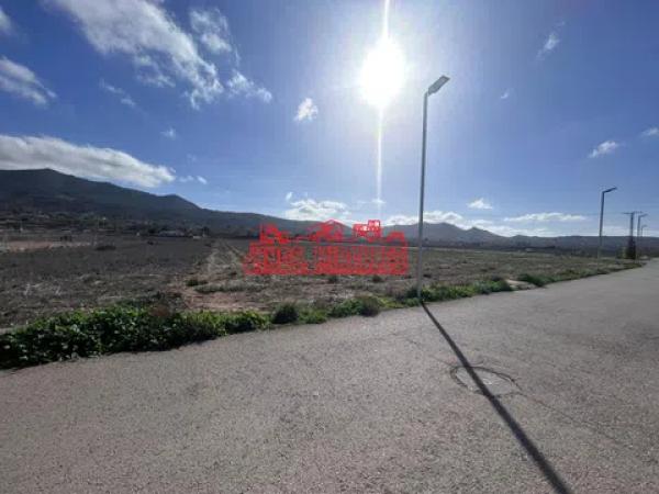 Terreno en Hondón de los Frailes photo 3