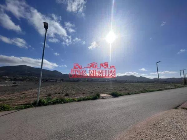Terreno en Hondón de los Frailes photo 4